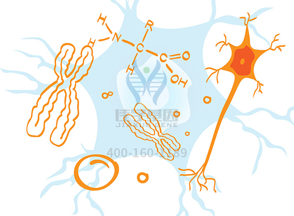 【佳学基因检测